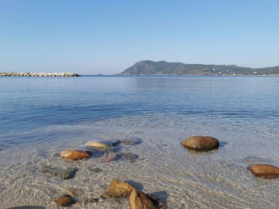 Studi'Hotel Coeur Sablettes Clim Parking H24 Total Autonomie La Seyne-sur-Mer Kültér fotó